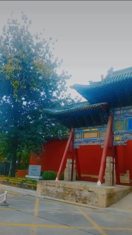 赴一场银杏叶的黄金盛宴,太原文庙