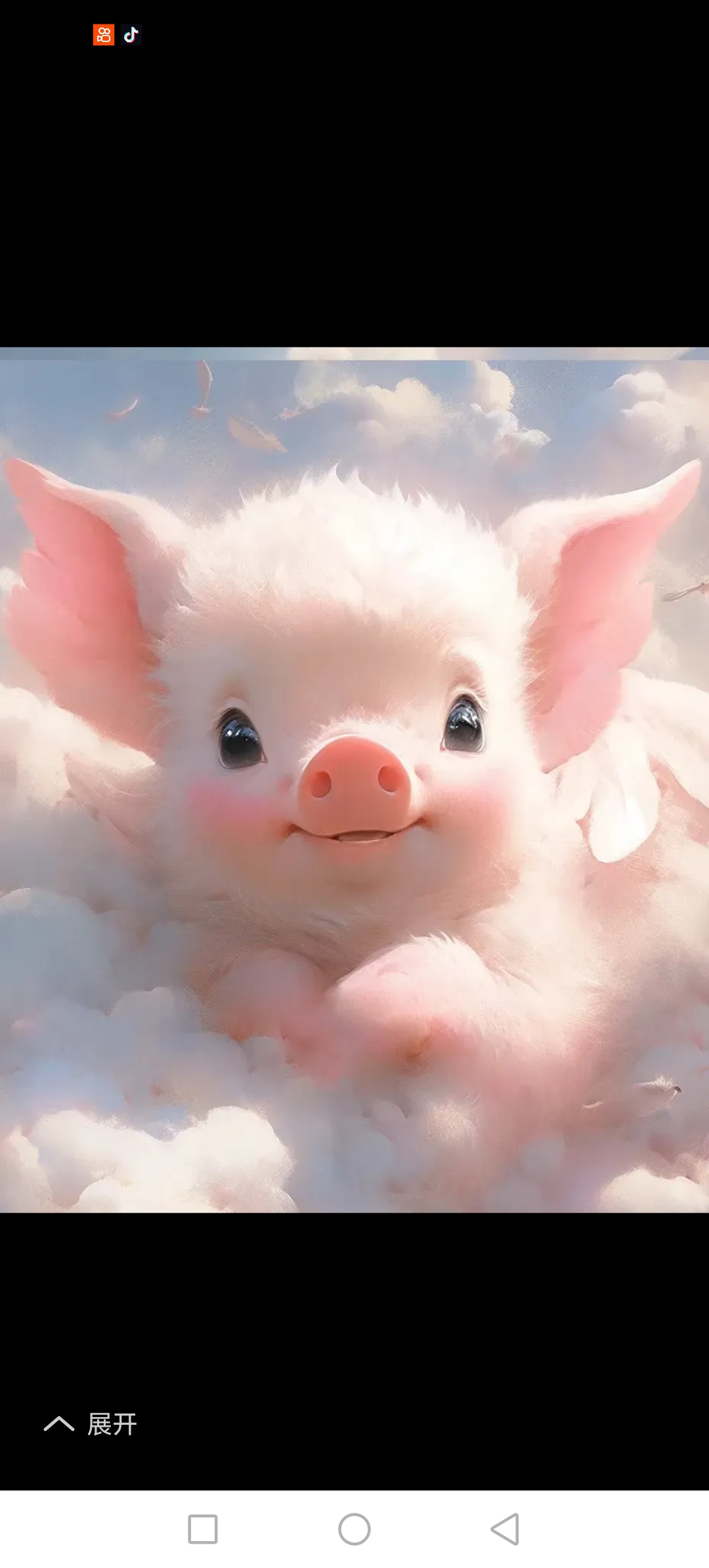 1月1日生肖猪运势(1月1日生肖猪运势怎么样)