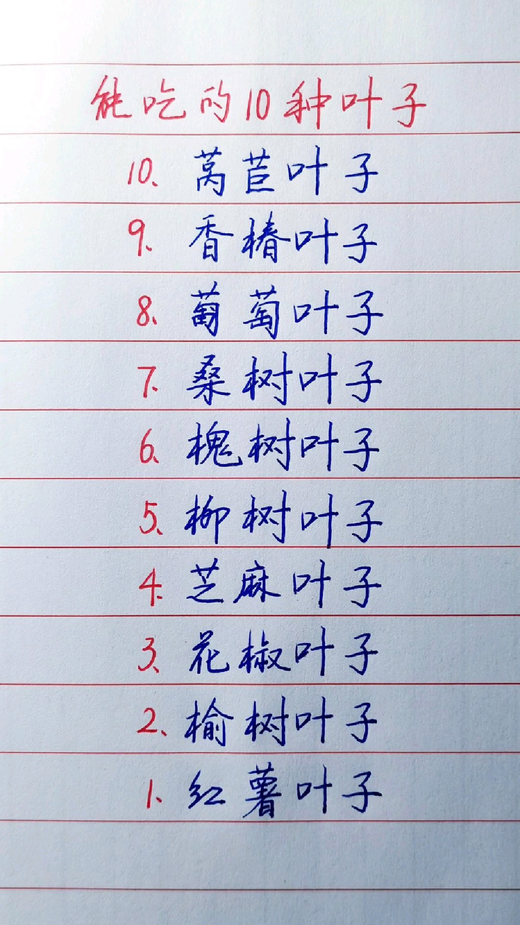 叶子菜有哪些图片名字图片