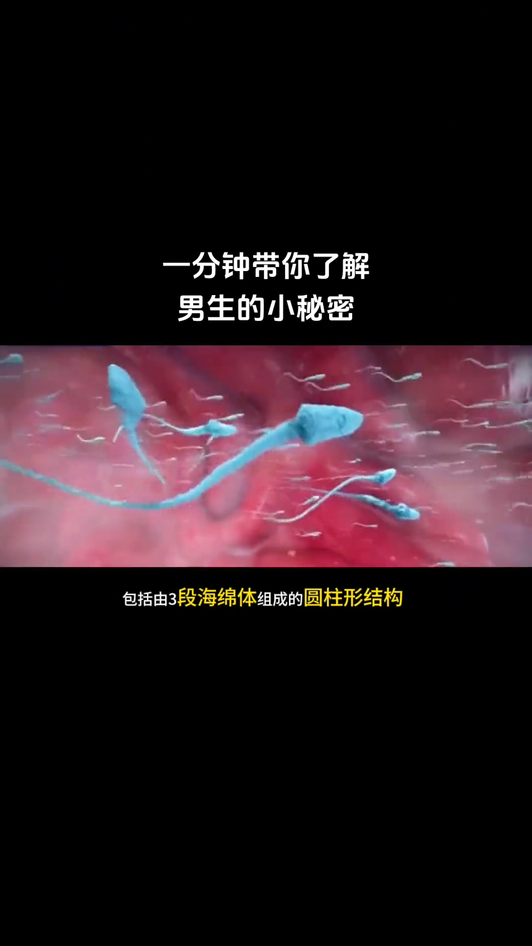 一分钟带你了解男生的小秘密