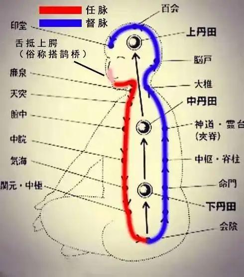 大小周天的循环路径