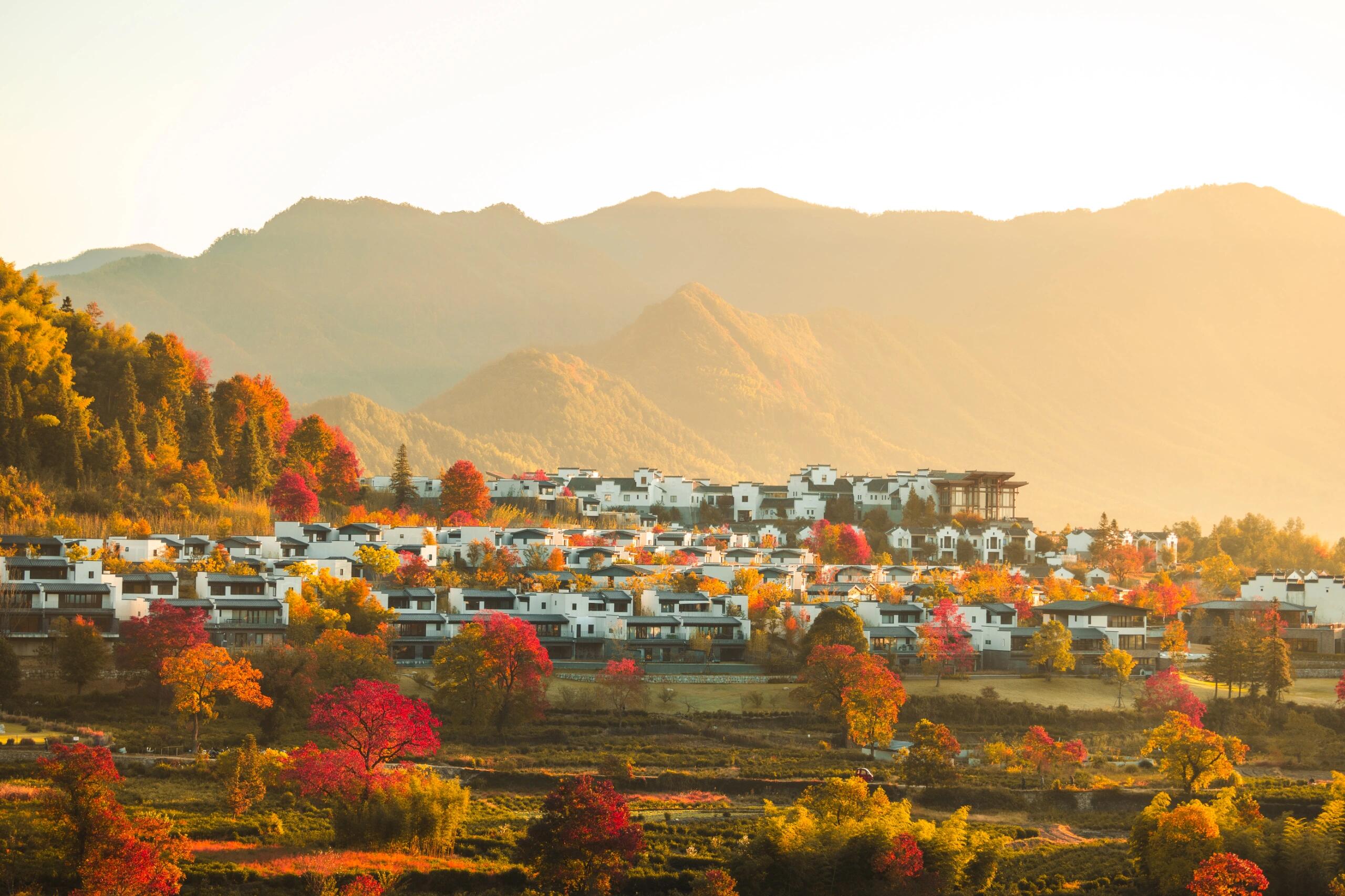 深秋的卢村,皖南秋色的精华