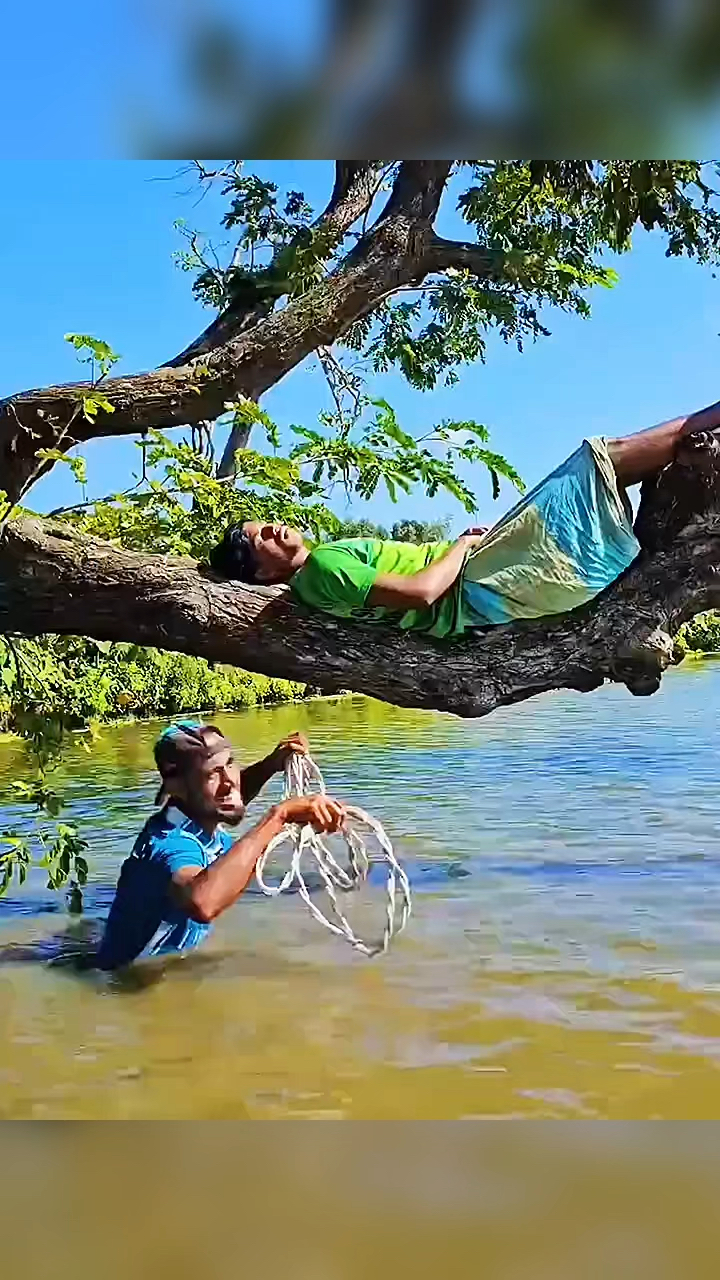 躺在树上睡觉,这是咋做到的