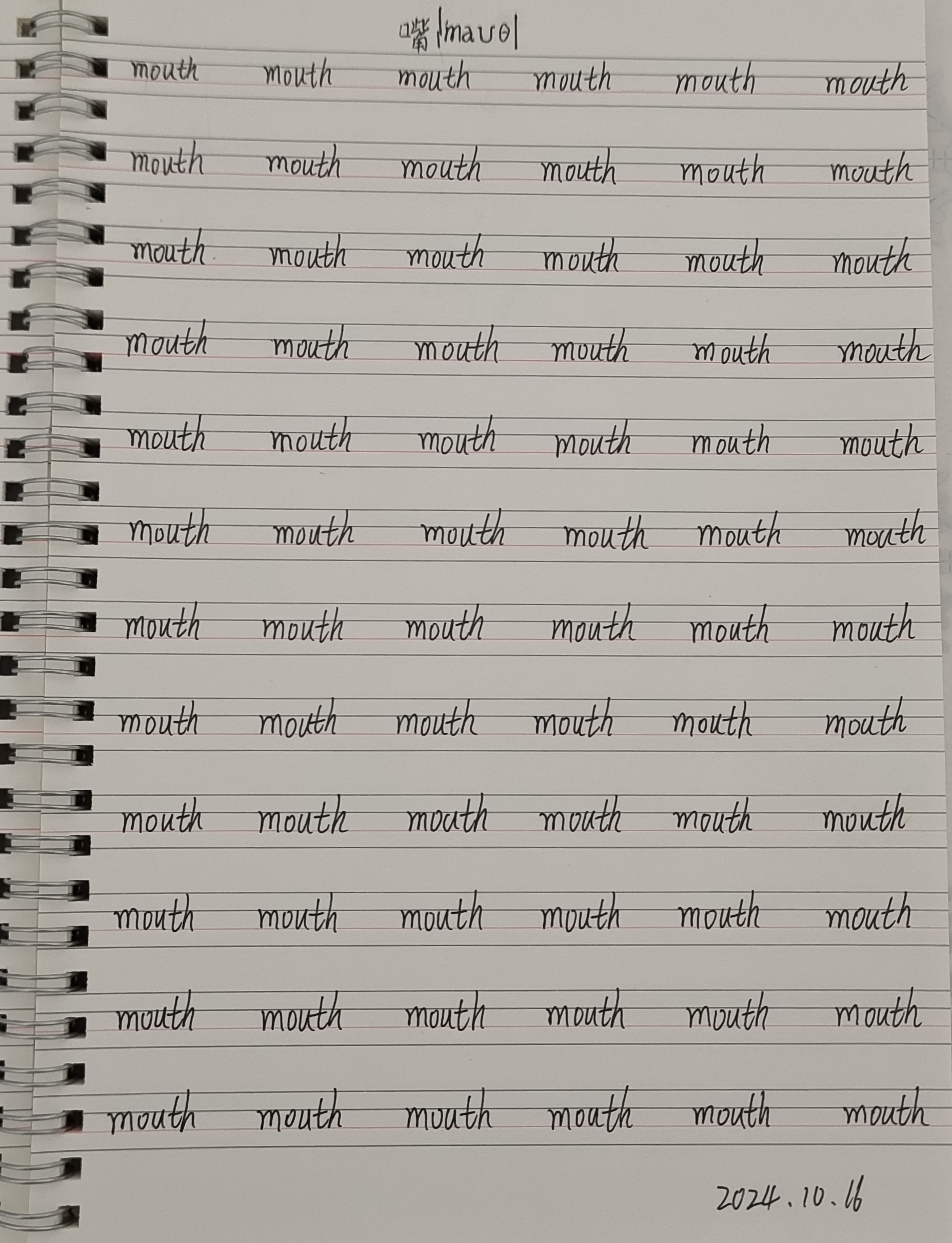 每天抄写单词打卡