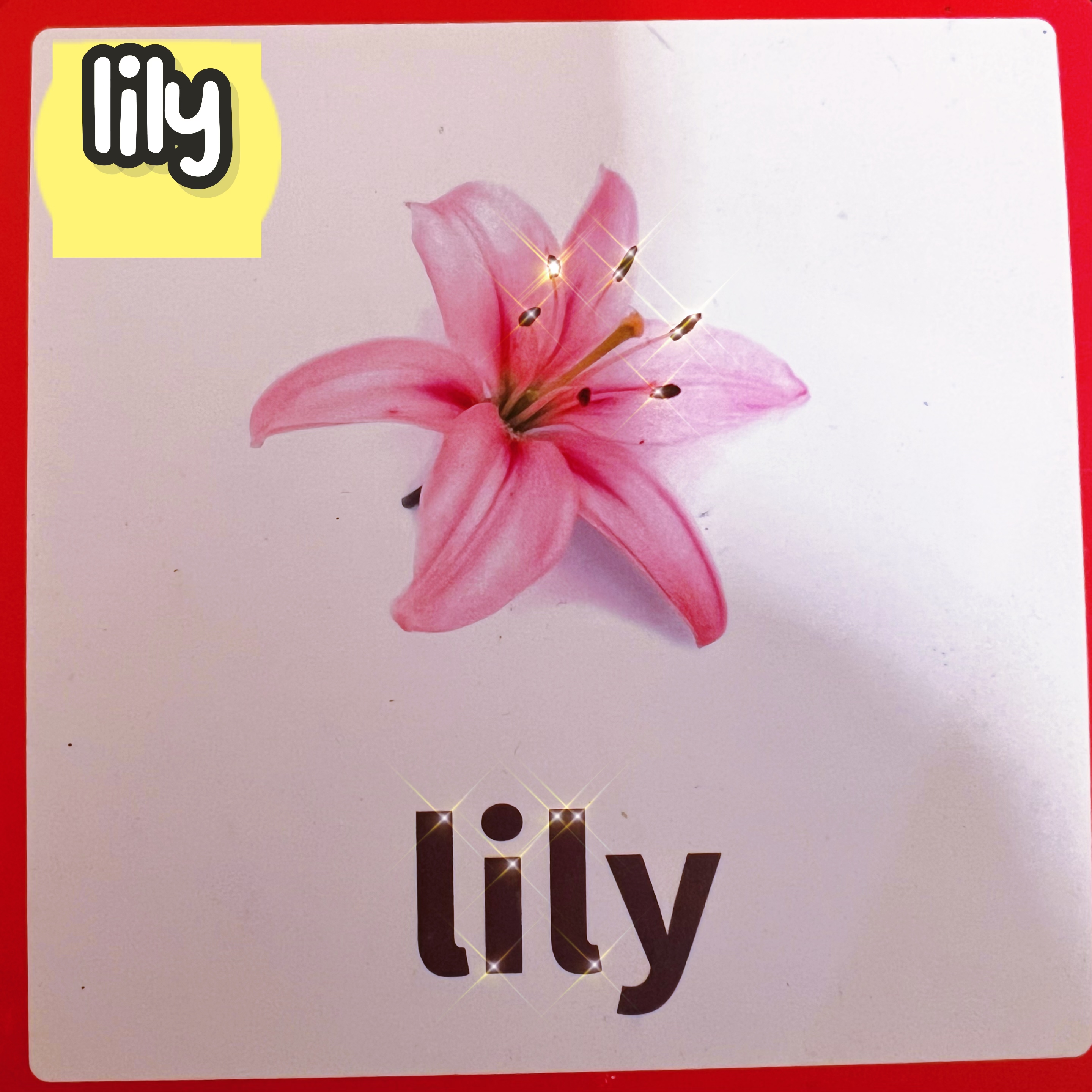 ";也可用于人名"莉莉",是女性名字