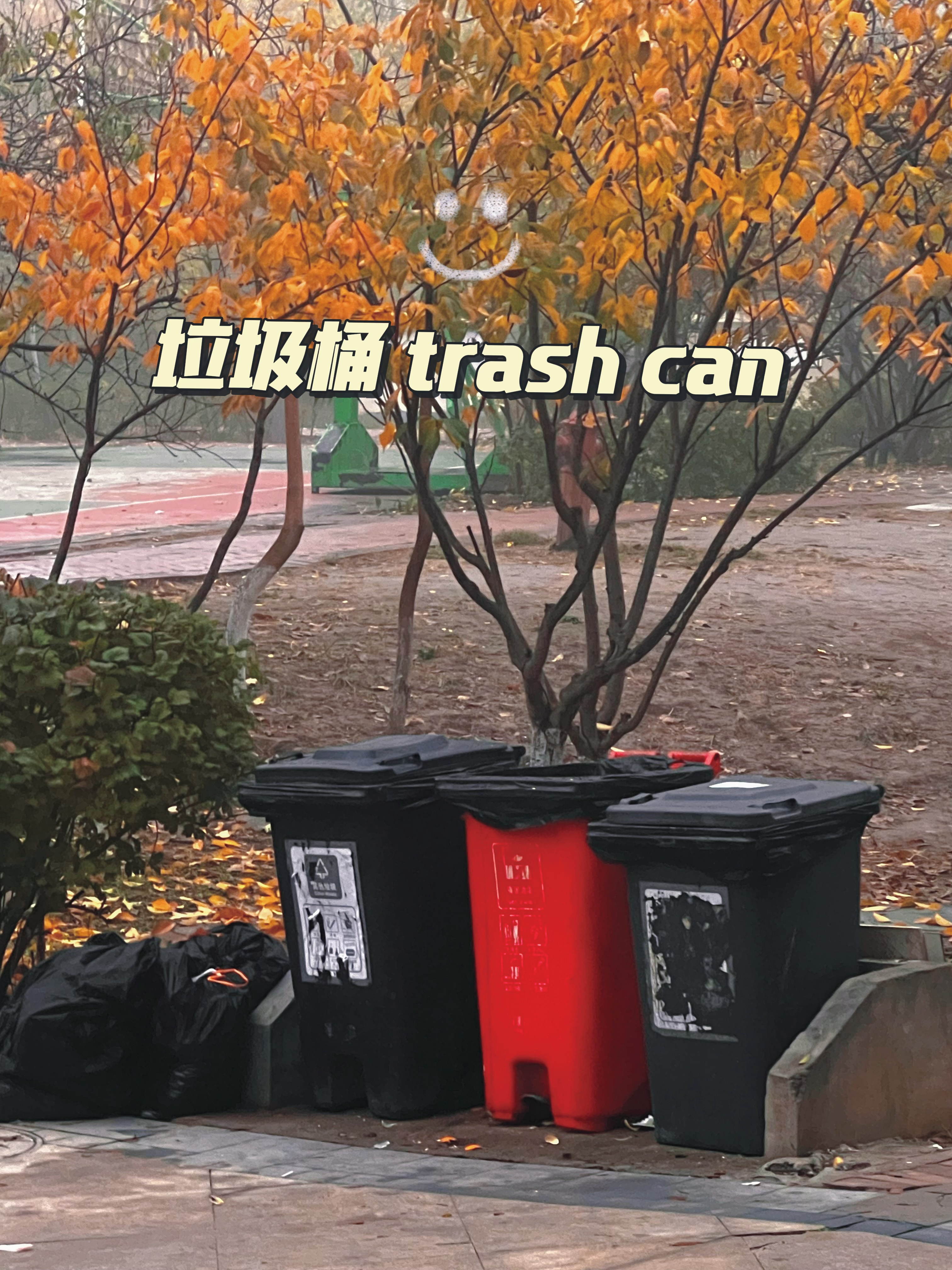 garbage can如the garbage can is full