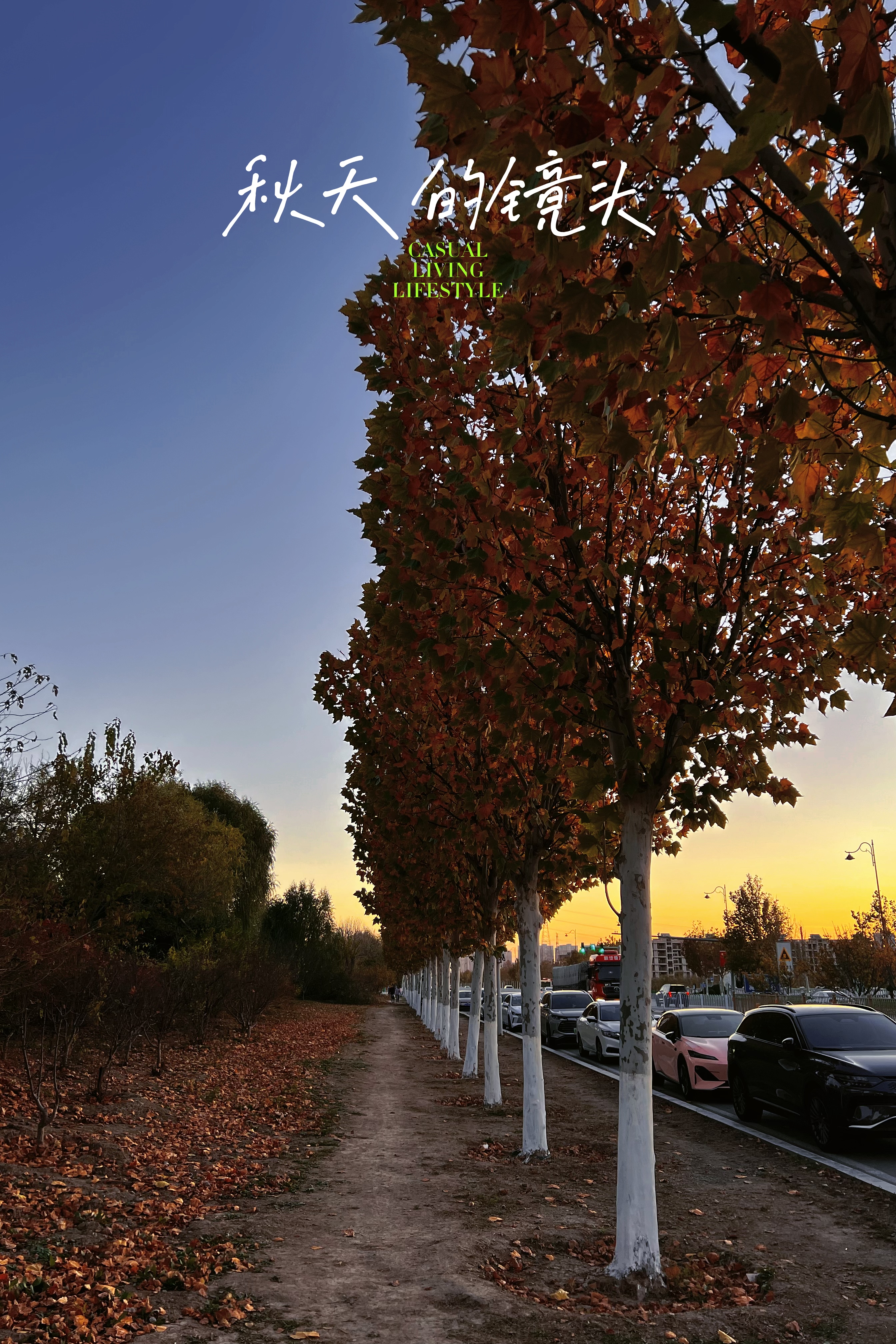 秋天可以用autumn或fall来表达