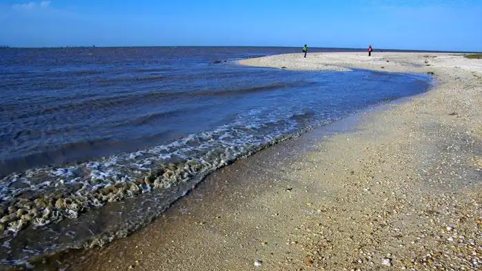 中国无棣贝壳堤岛,大海遗留的珍宝,独一无二的古贝壳滩脊海岸