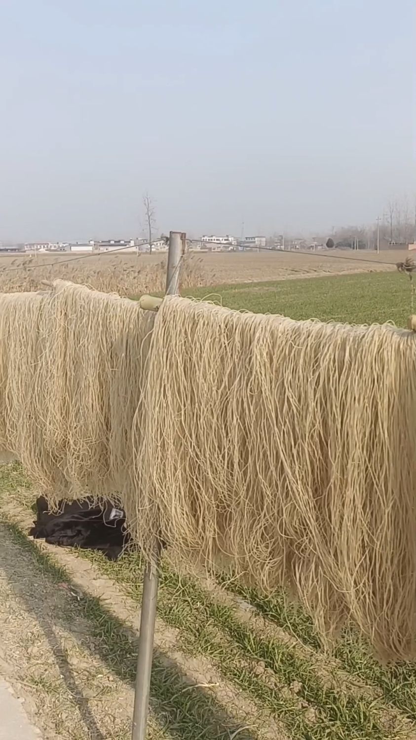 今天是个晒粉条的好天气