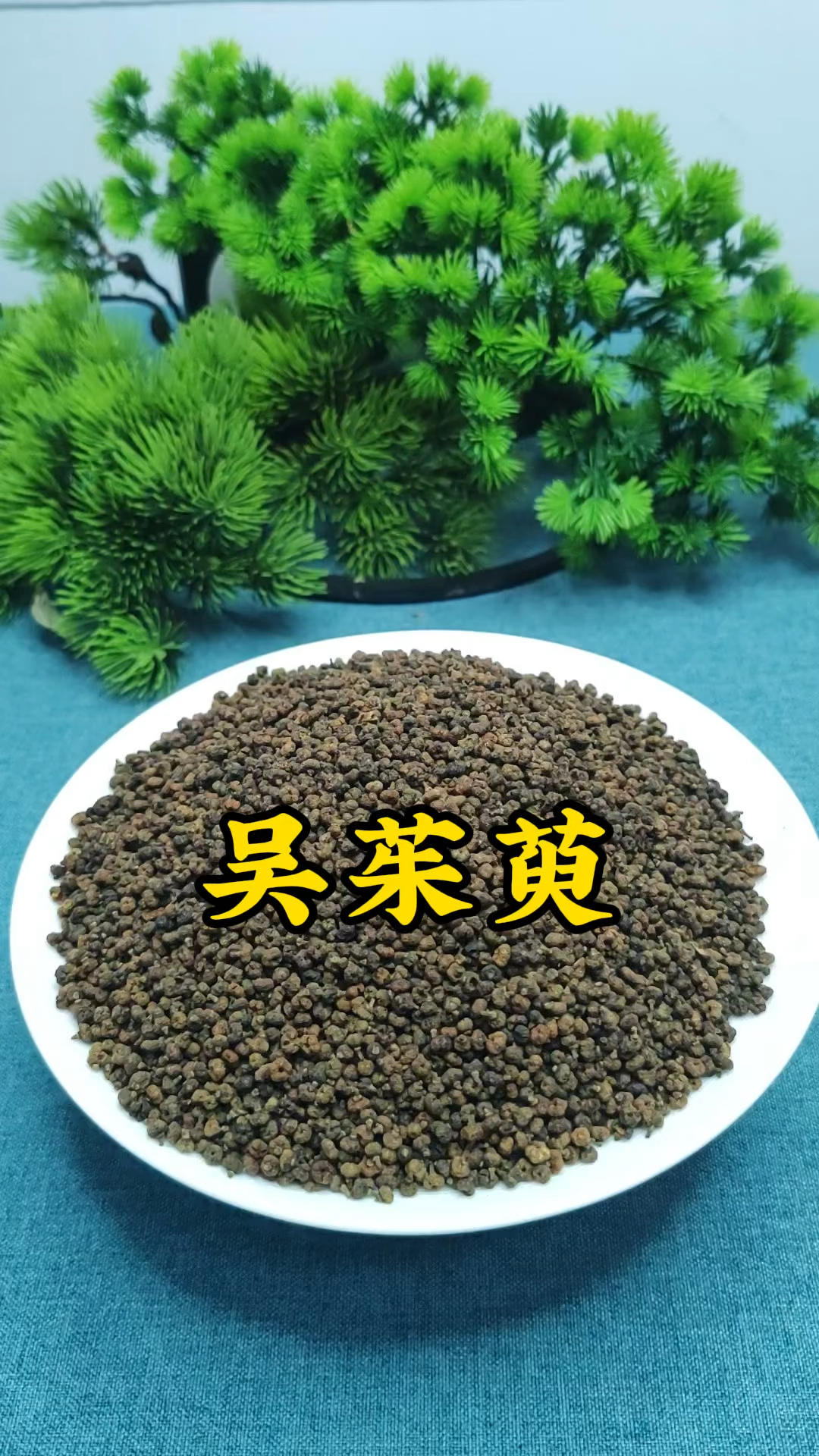 为什么久寒必用吴茱萸