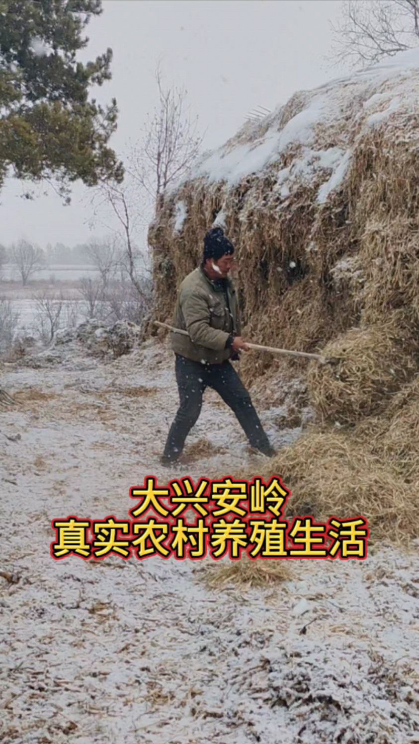 农村小型养殖什么真实可靠(适合于农村的小型养殖业有哪些?)