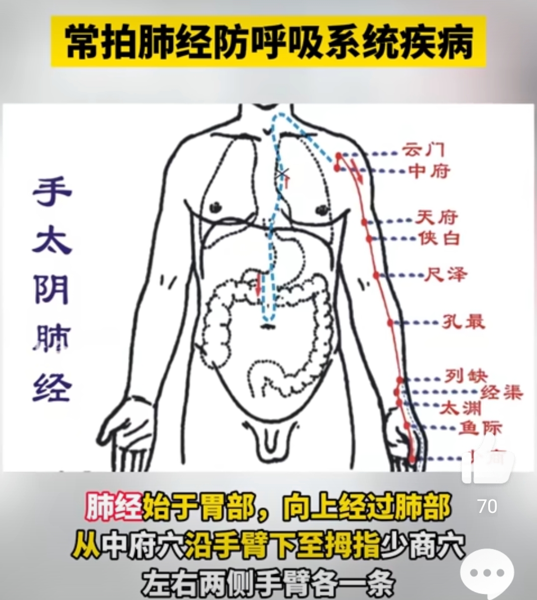 双肺准确位置图片图图片