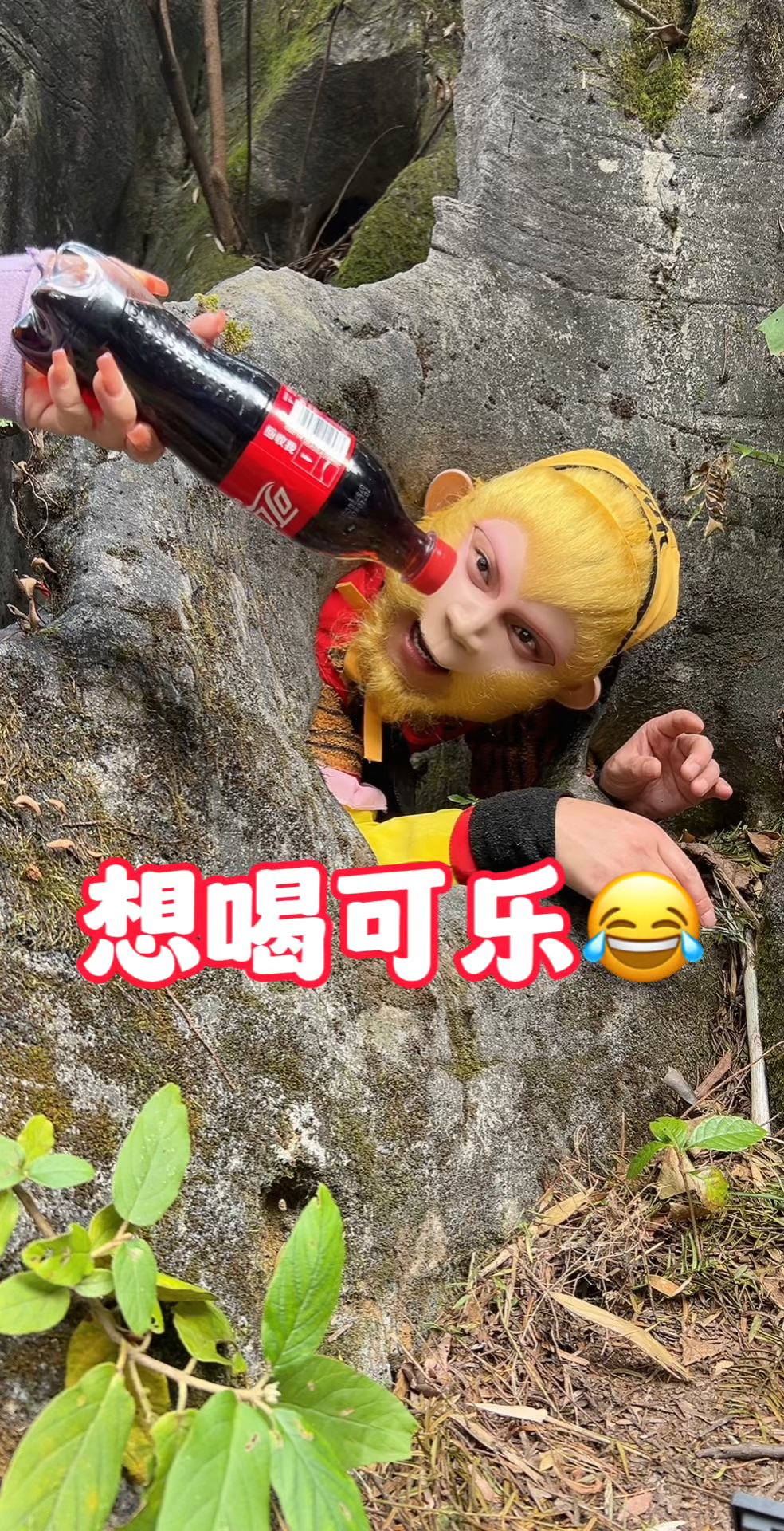 没想到猴哥也喜欢喝可乐.哈哈