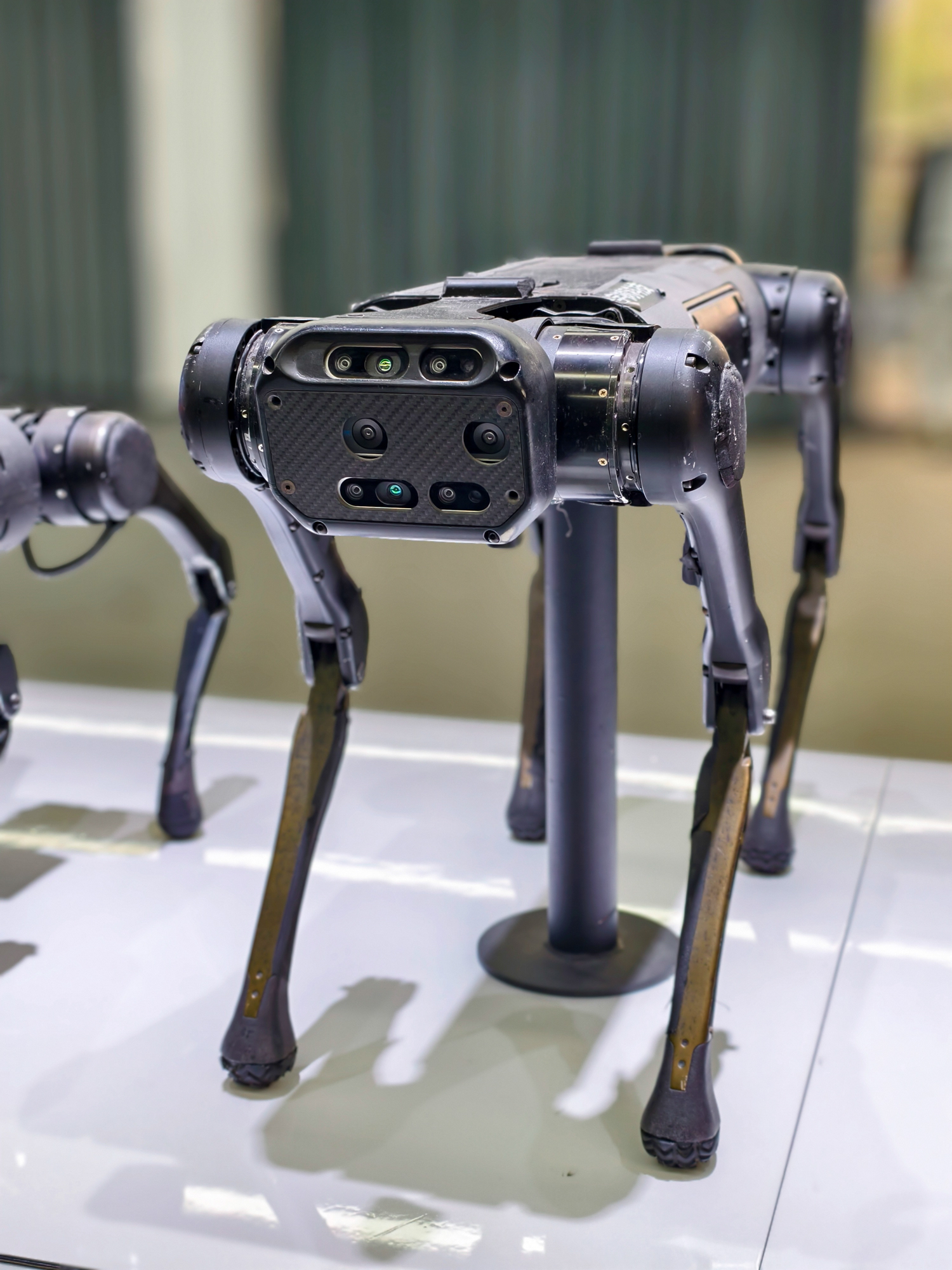 最近杭州滨江有一家高科技公司火爆出圈了; 2024杭州