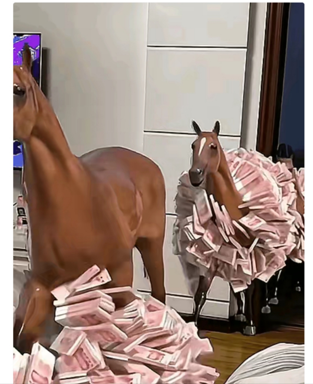 恭喜, 看到"马上有钱", 你是今天最幸运的人, 足以证明你的福运已经