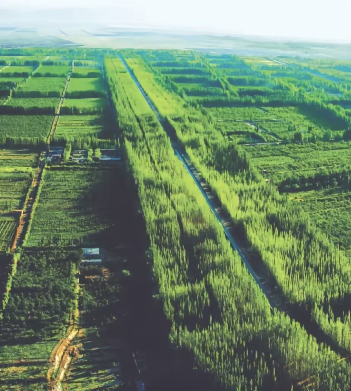 塔克拉玛干沙漠的3000公里绿色屏障工程圆满完成, 再次证明了我国在