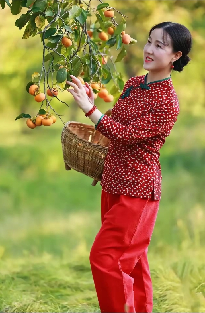 图片分享:摘柿村姑