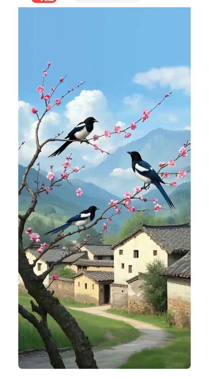 分享:喜上梅(眉)稍图片壁纸分享
