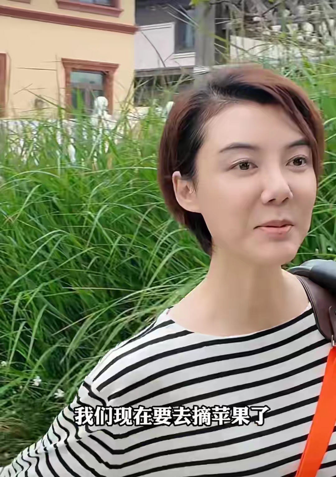 车晓分享出了自己居家摘苹果
