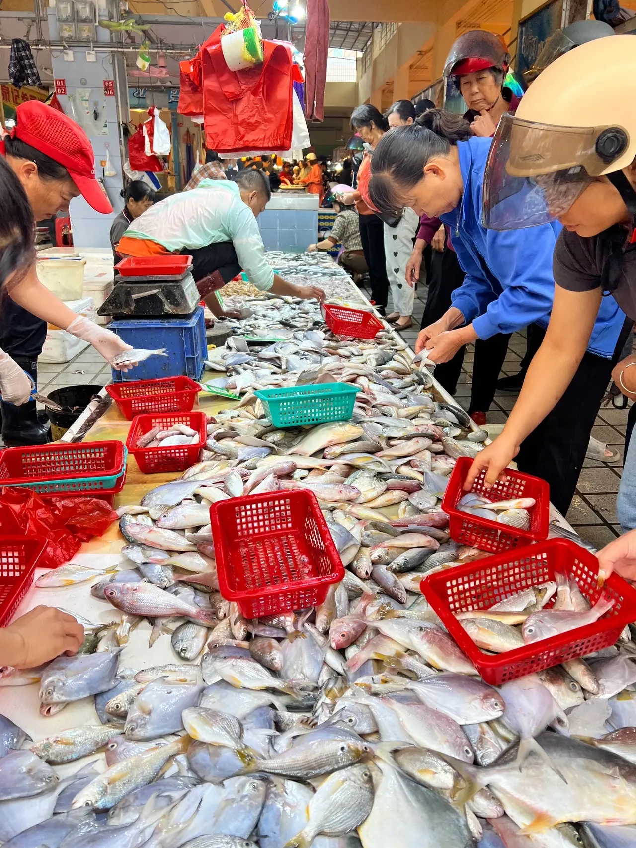 海鲜图片海鲜市场图片真实海鲜地摊市场海鲜图片海鲜摊图片海鲜菜市场