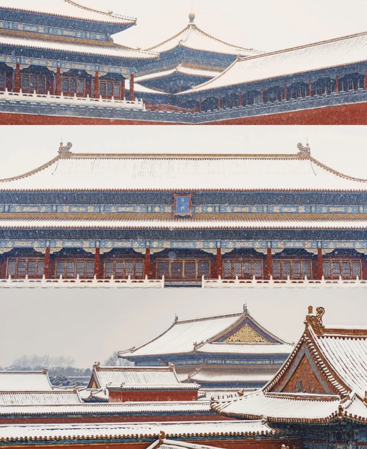 不过,回忆起年初的雪景,我还是忍不住翻看起了照片,仿佛再次置身于