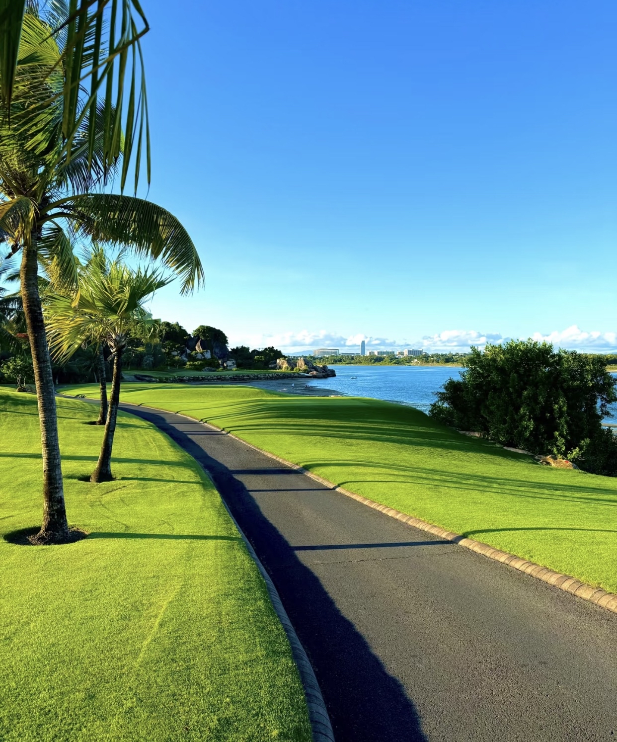 自然风景三亚美景自然风景海滩图片椰林风光图片海岸线风景图片大海边