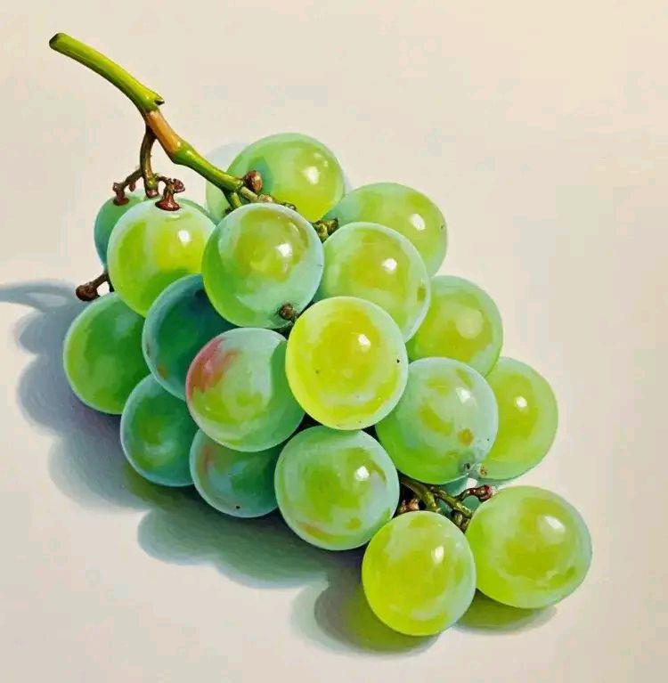 彩铅 | 新鲜水果