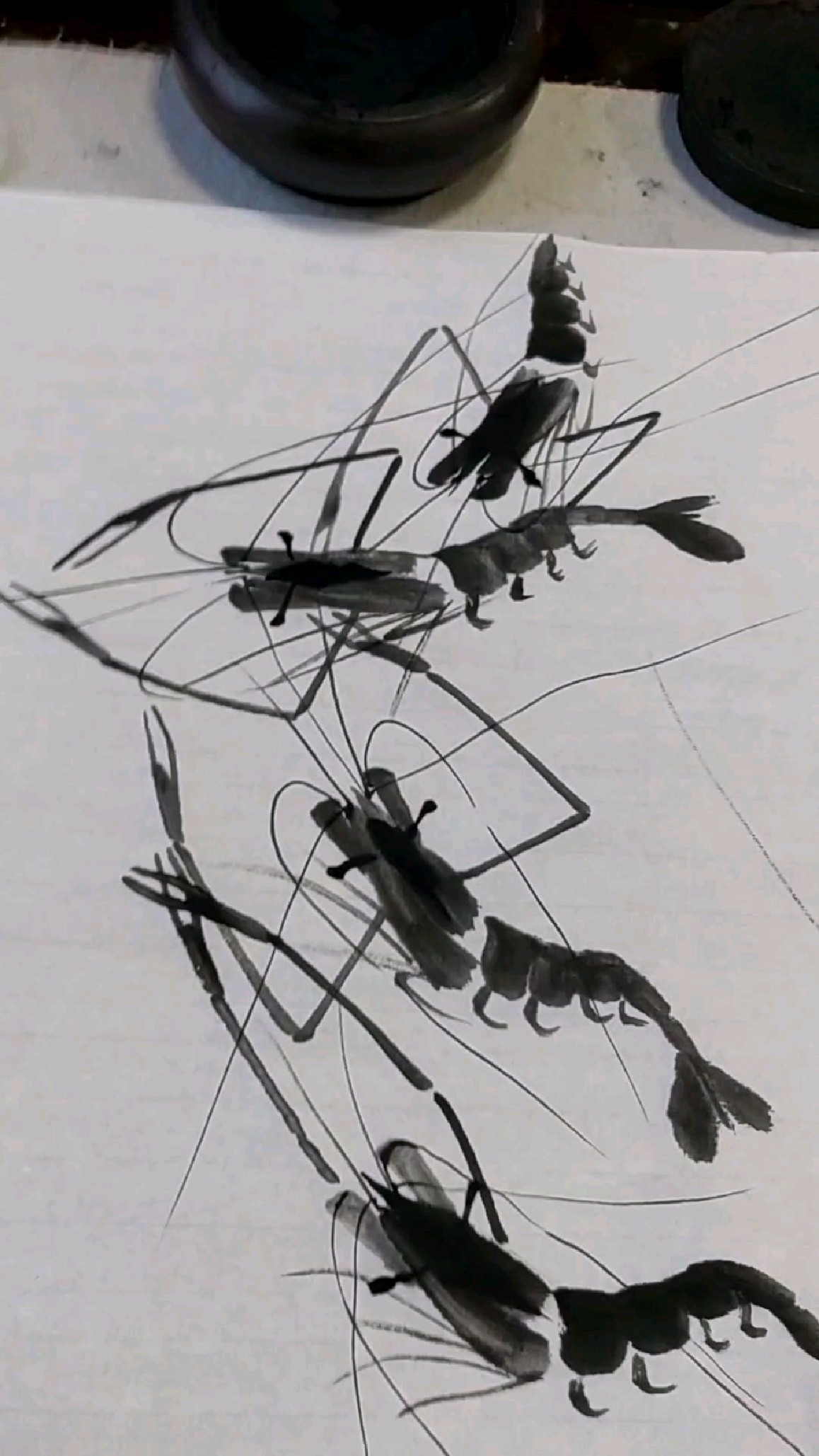 写意虾的画法《五五二》