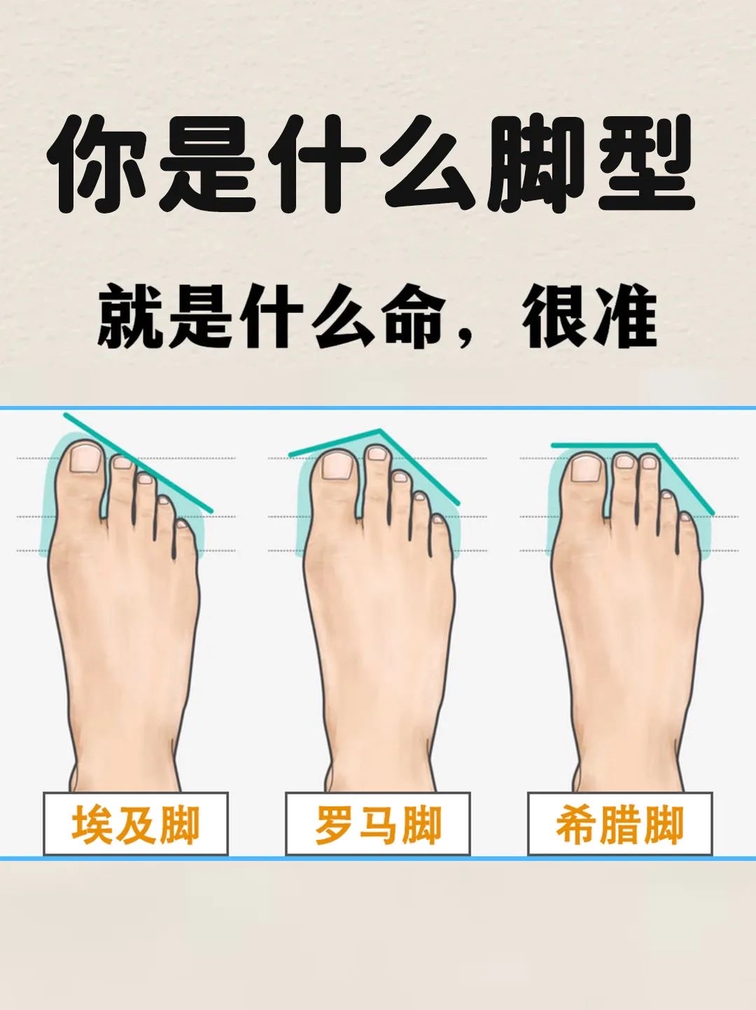 什么脚型什么命