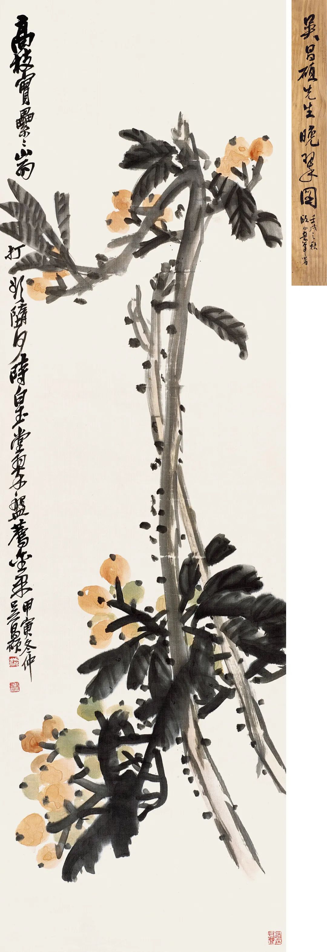 吴昌硕《枇杷梢立》