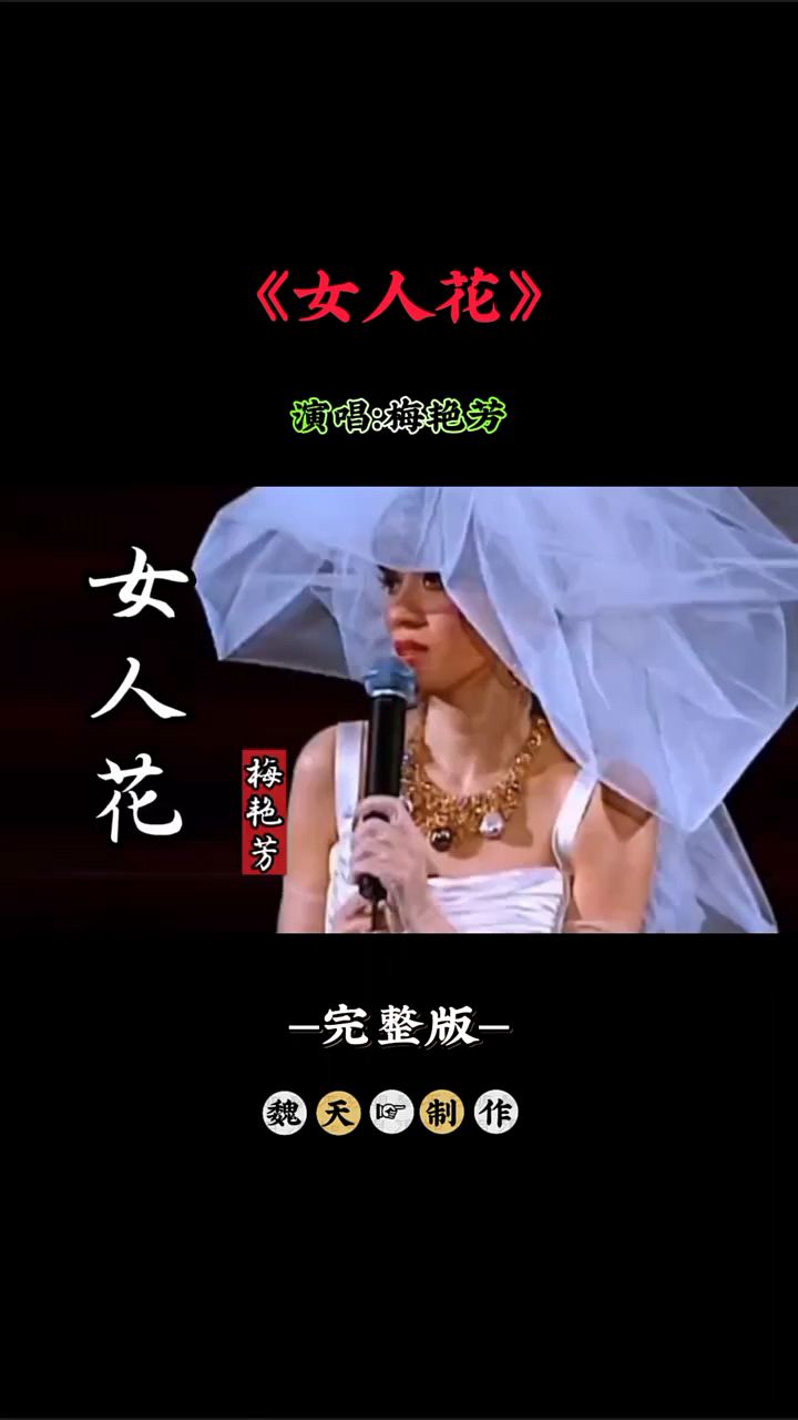 梅艳芳女人花演唱会图片