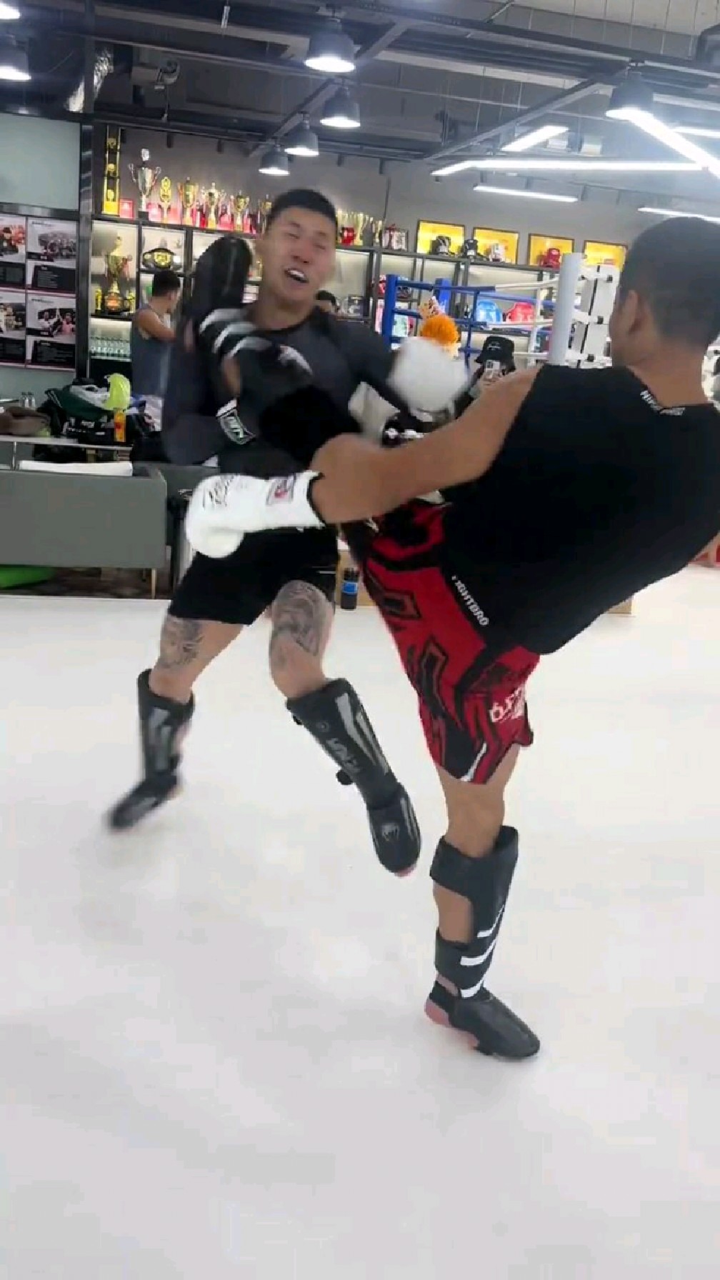 一记高鞭腿ko对手