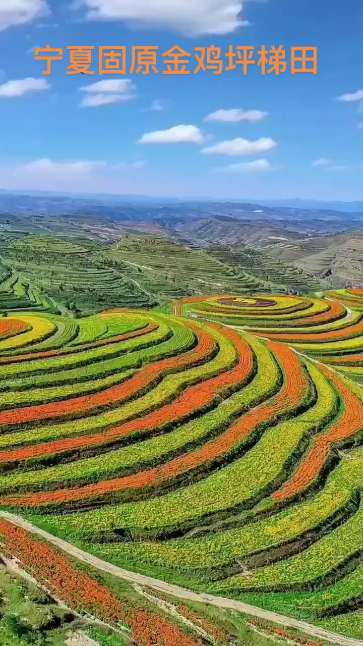 正导分享:宁夏固原金鸡坪梯田20241110