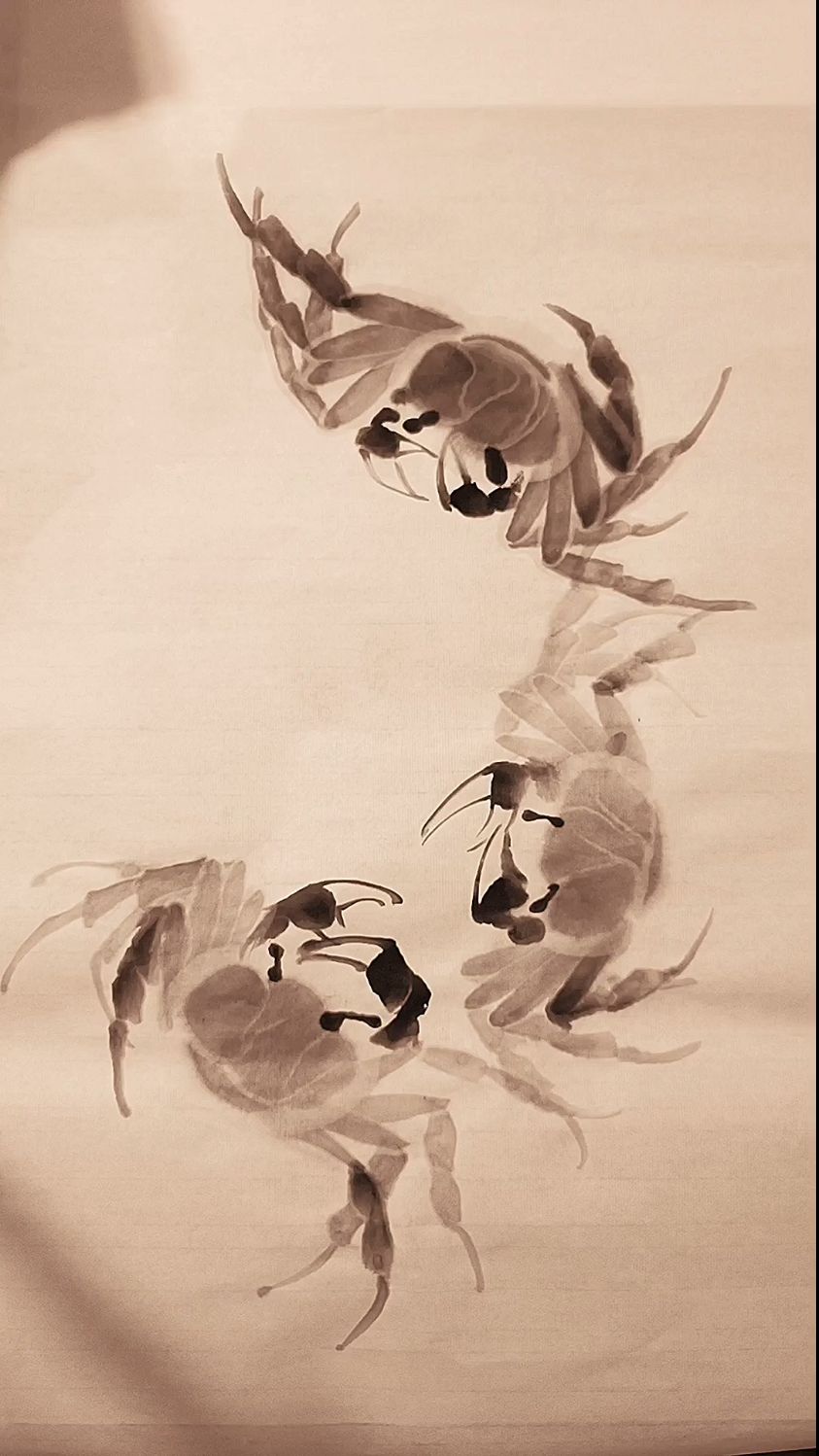 跟我一起画水墨螃蟹吧
