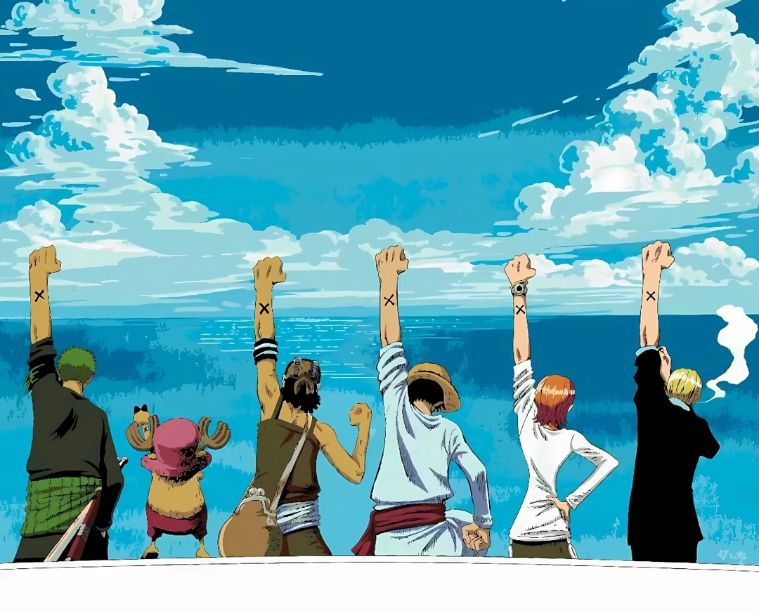 网友甲观点: 每个人都希望成为「路飞」,超越「路飞」