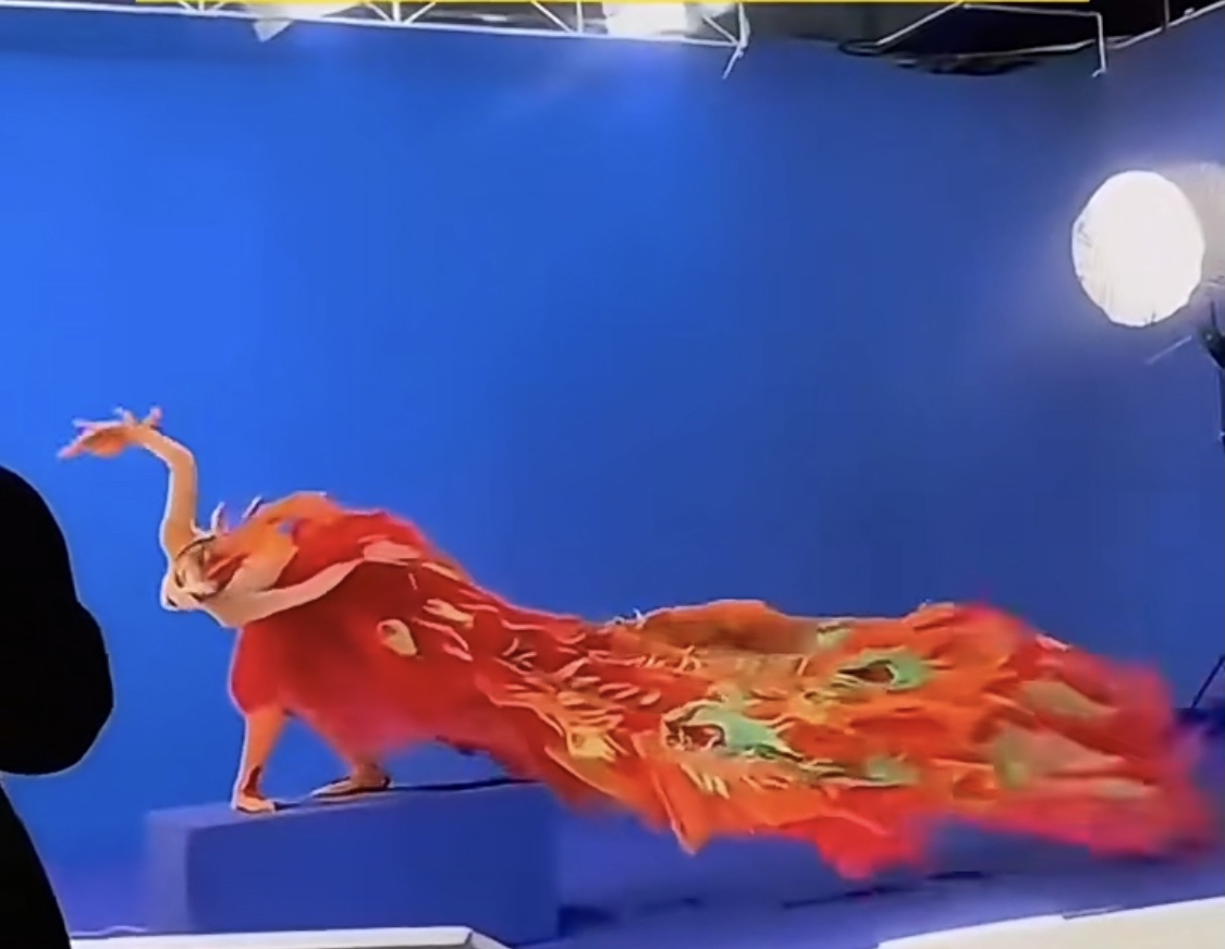 待走近仔细一看,才发现是杨丽萍老师表演的孔雀舞