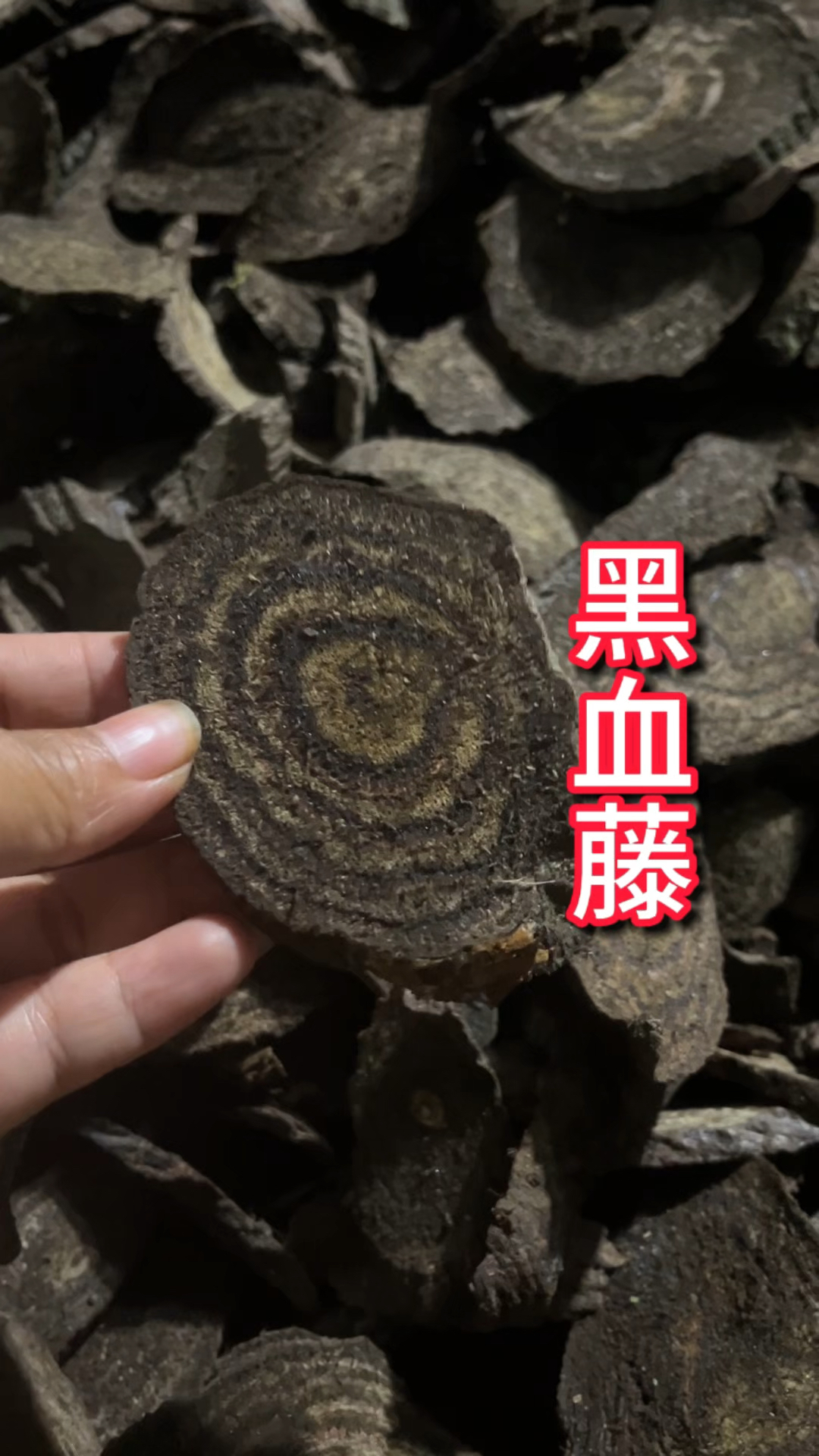 农村生活 一日一植物 黑血藤