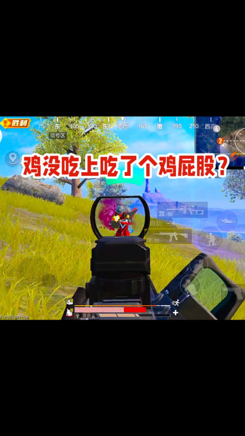 和平精英,鸡没吃上吃了个鸡屁股?