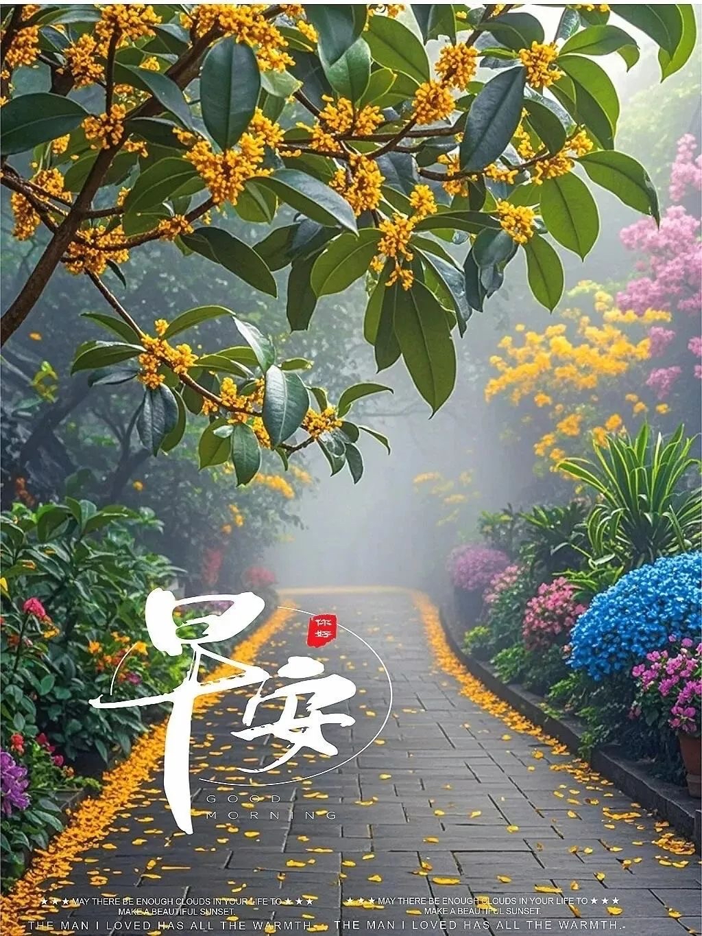一念秋色浓,一念岁月长,陌上花开,丹桂飘香