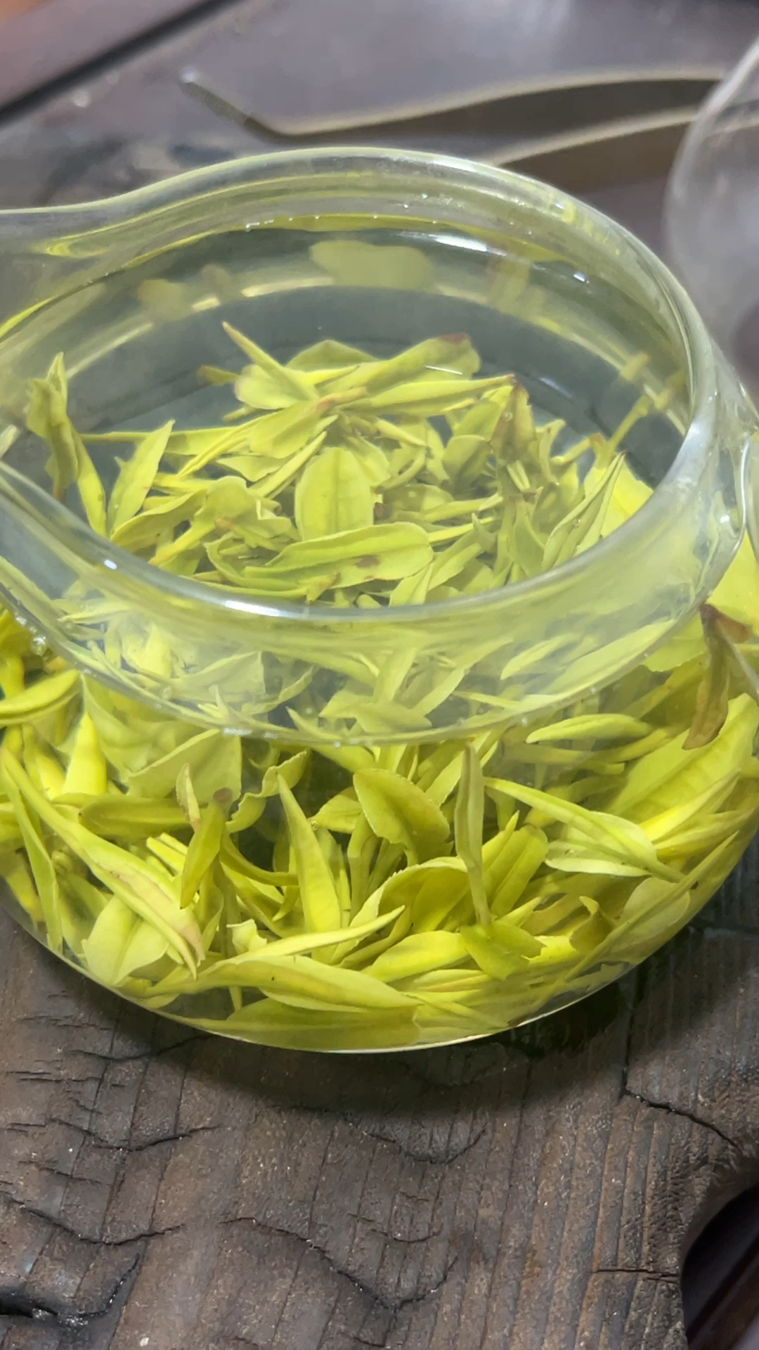 这个茶叶真漂亮啊