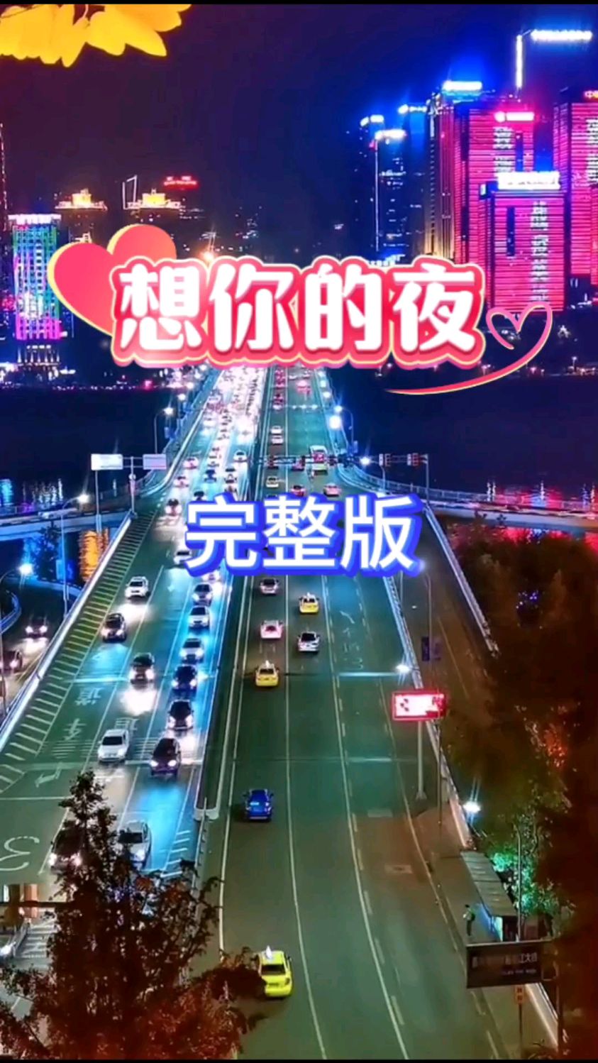 《想你的夜》完整版,伤感的旋律,好听不厌