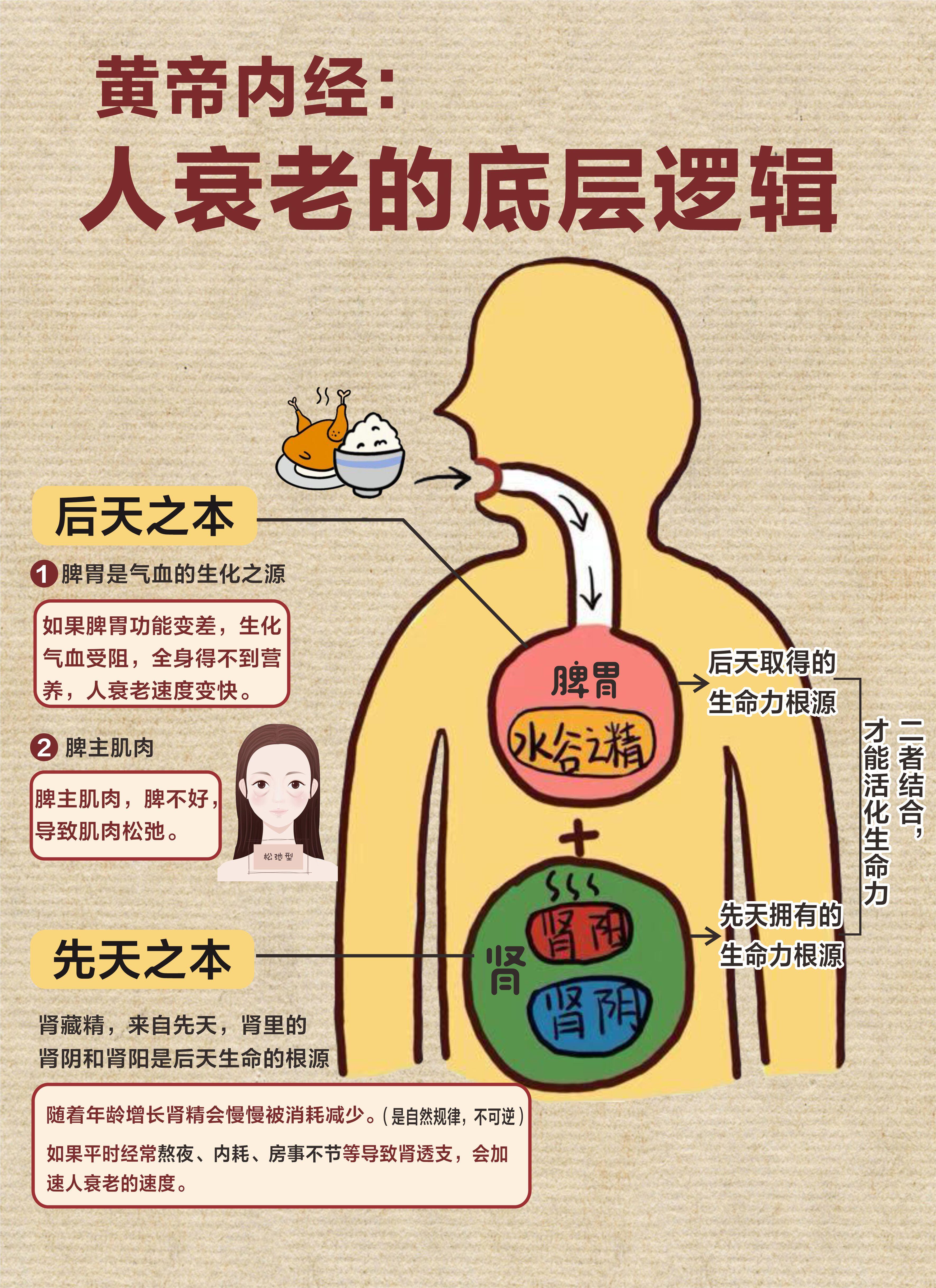 为什么50岁坐地能吸土