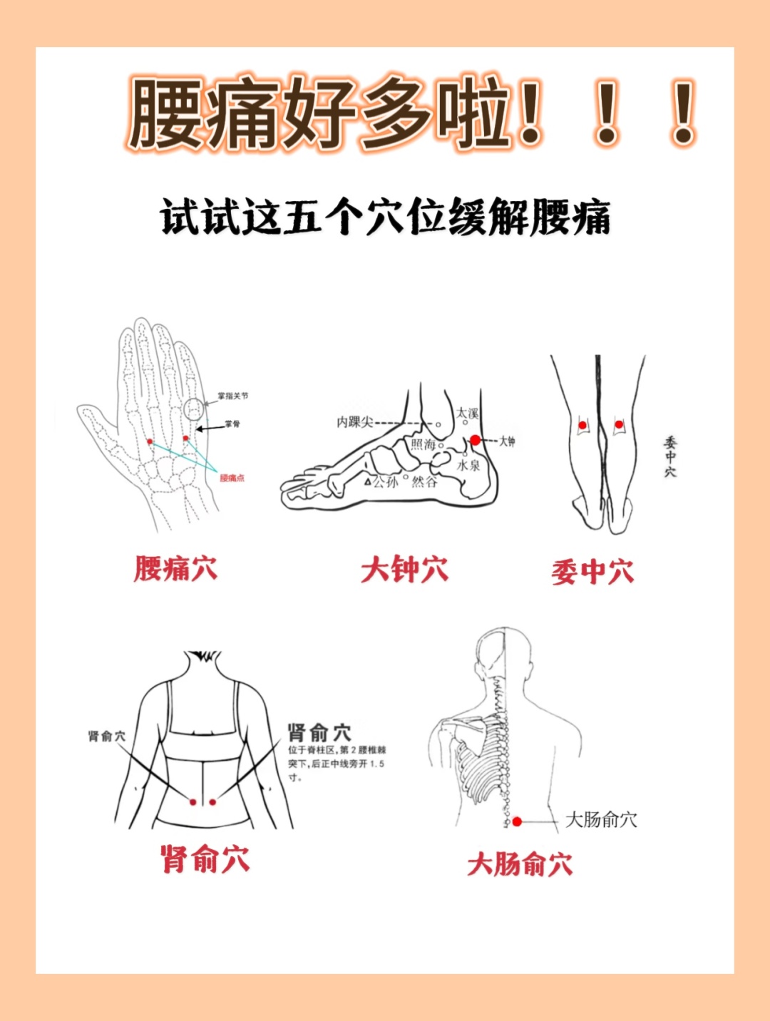 试试这五个穴位,缓解腰痛!