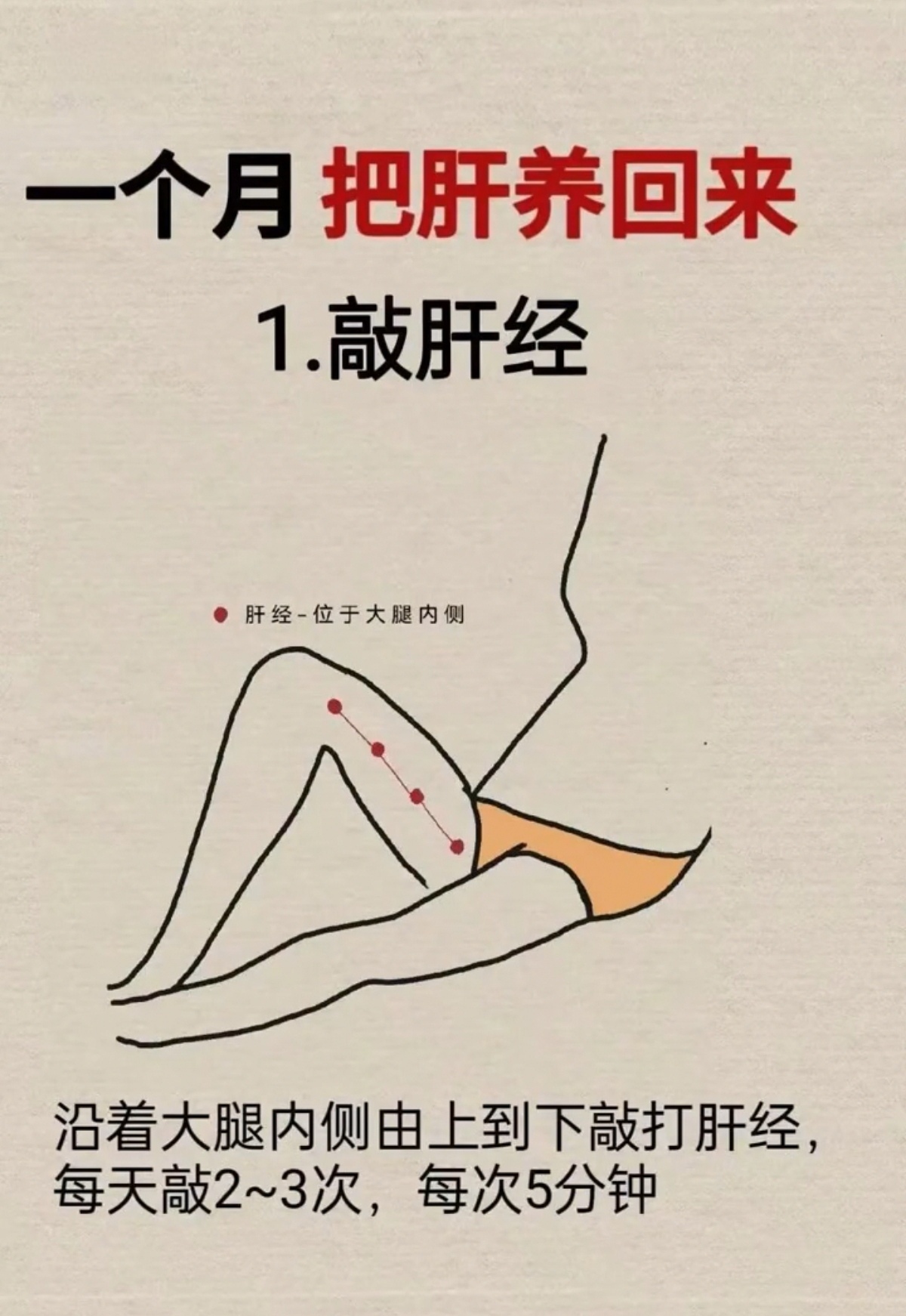 图推肝经腿部肝经的位置图肝经络图及走向图肝经图肝经正确敲打顺序图
