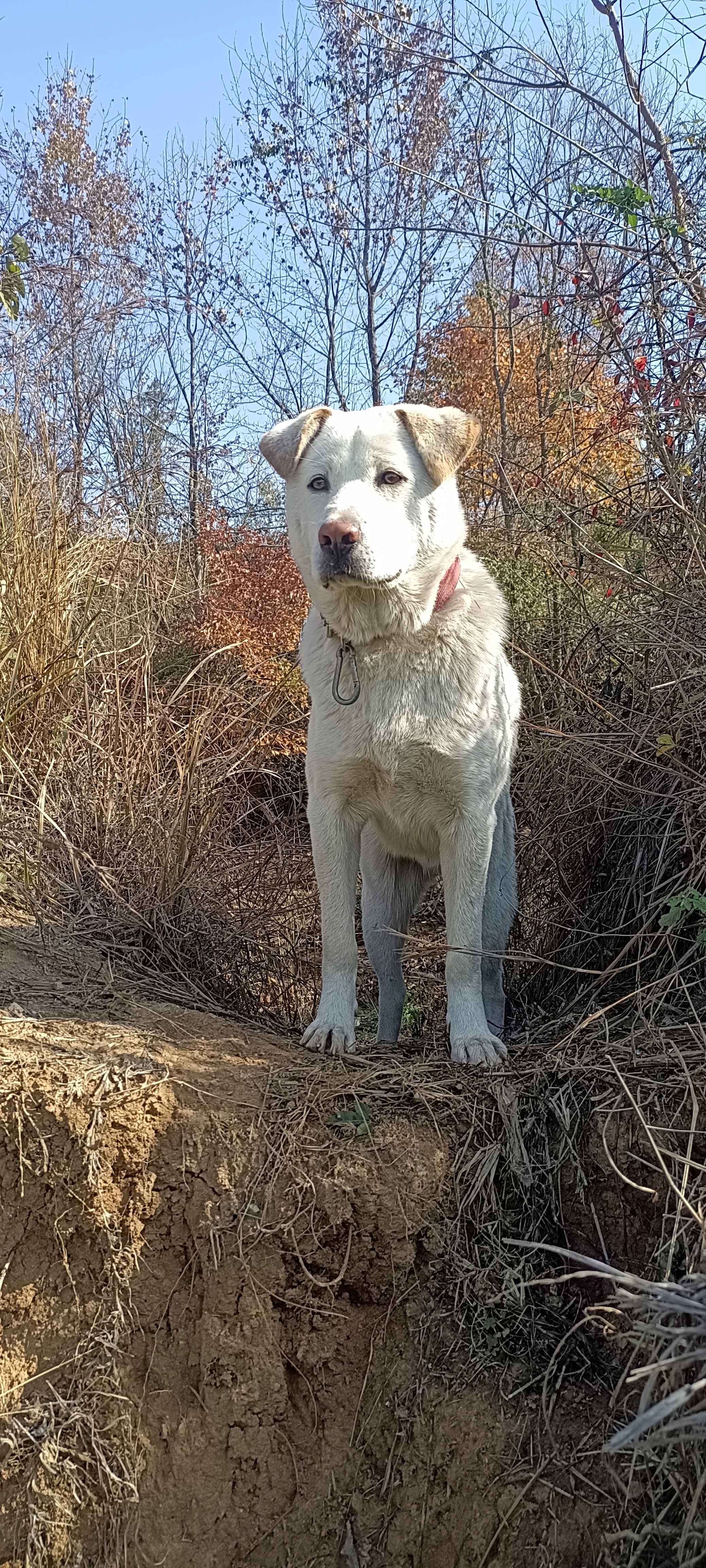 还是农村人厚道啊!