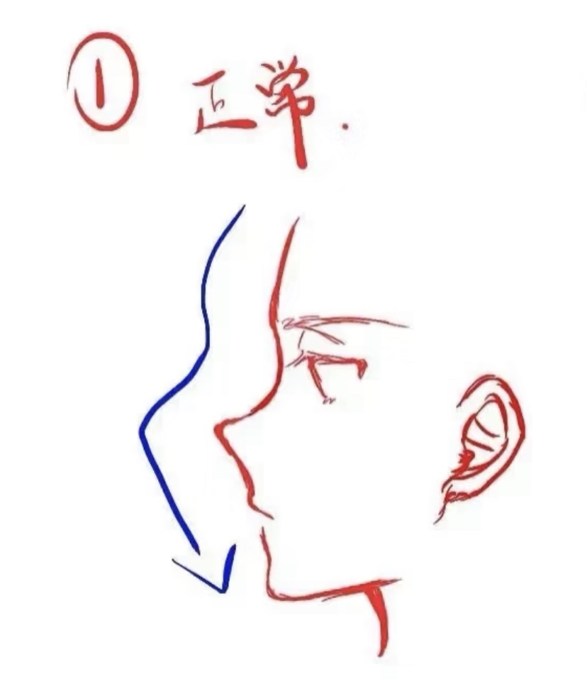 不同人物漫画侧脸怎么画?看这篇就够了!