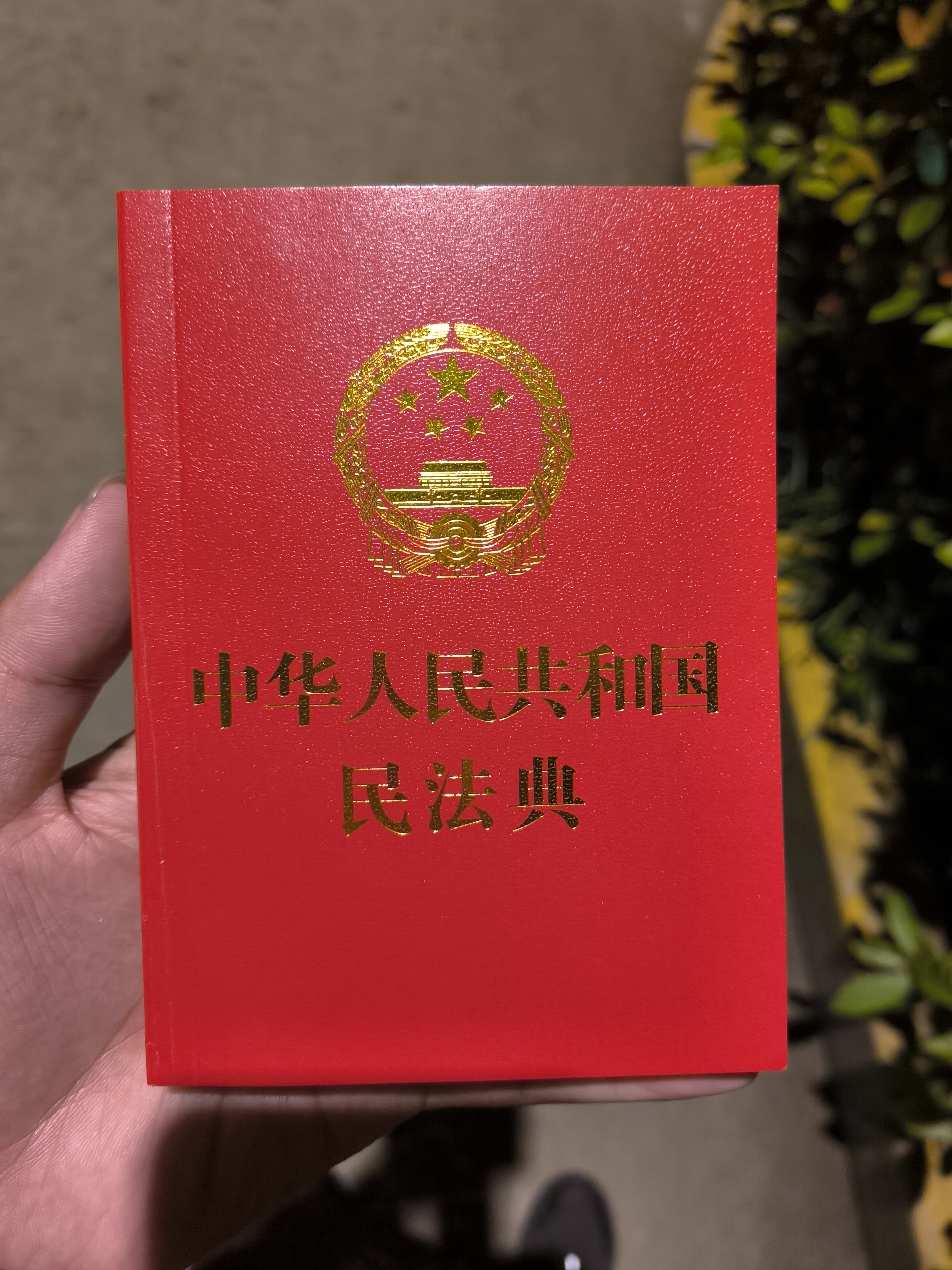 民法典标志图片图片