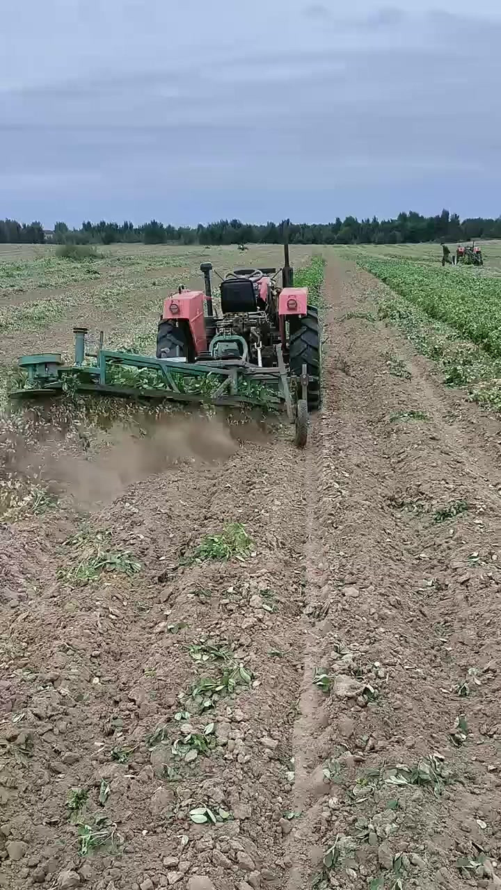 花生收获机,这机器太厉害了