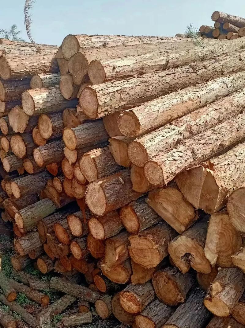 面对复杂多变的国际市场环境,不少案件涉及跨国法律,当地习惯及文化