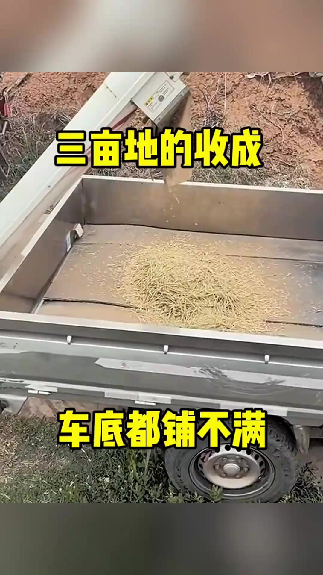 3亩地干什么挣钱(三亩地做什么利润高)